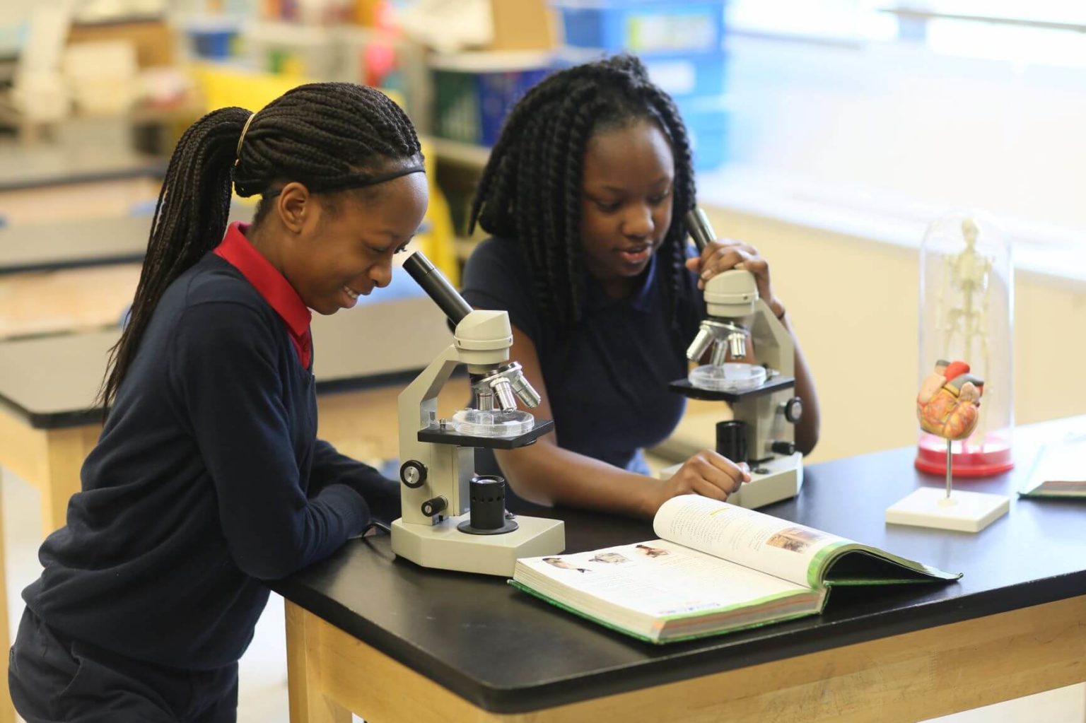 our-schools-seton-catholic